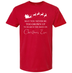 May You Never Be Too Grown Up To Search The Skies