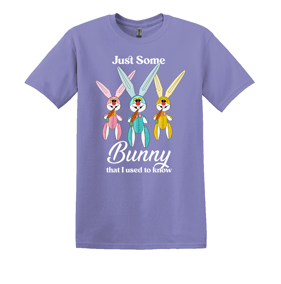 Just Some Bunny I Used to Know Dressing Festive purple T-shirt