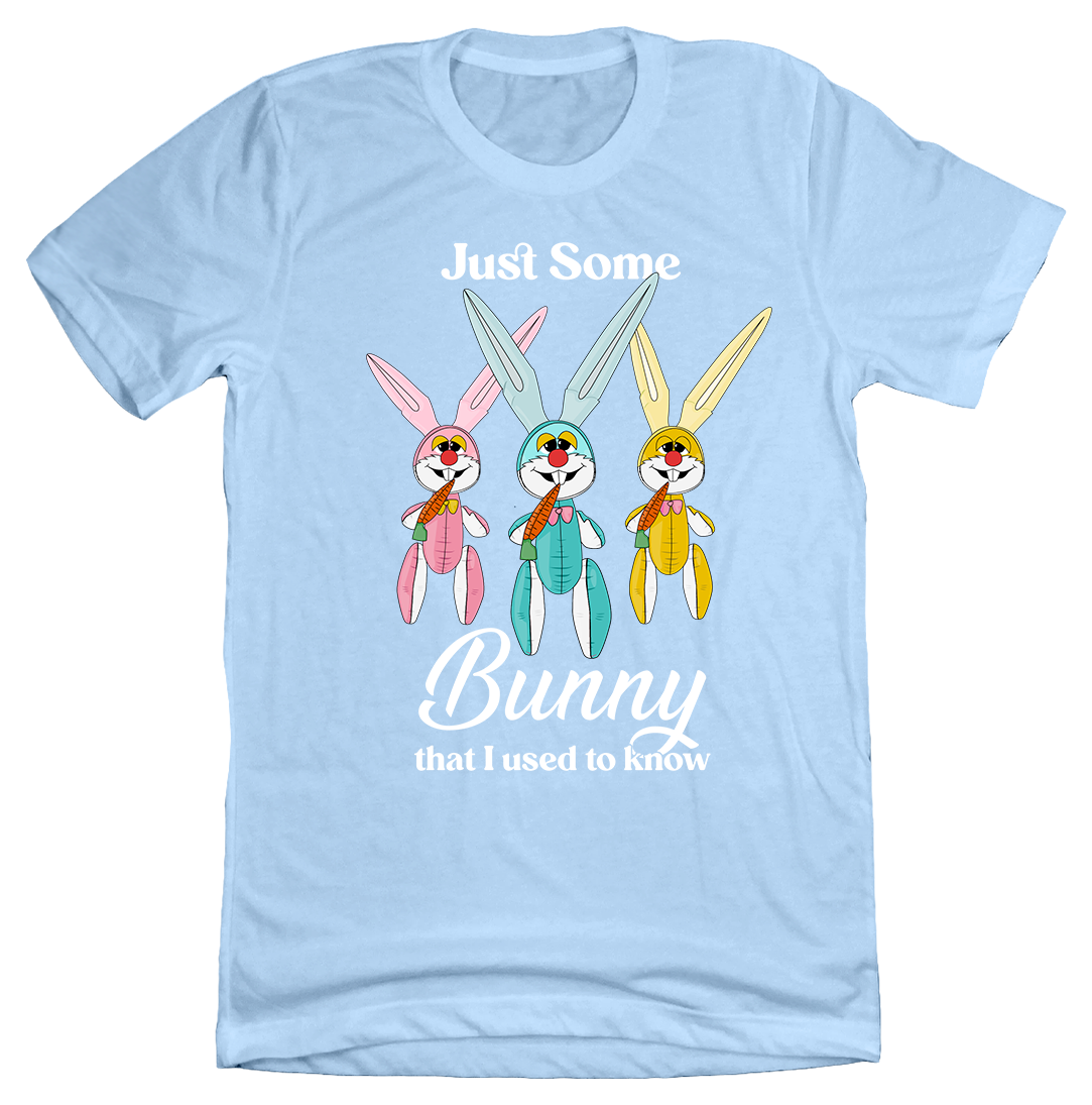 Just Some Bunny I Used to Know Dressing Festive blue T-shirt