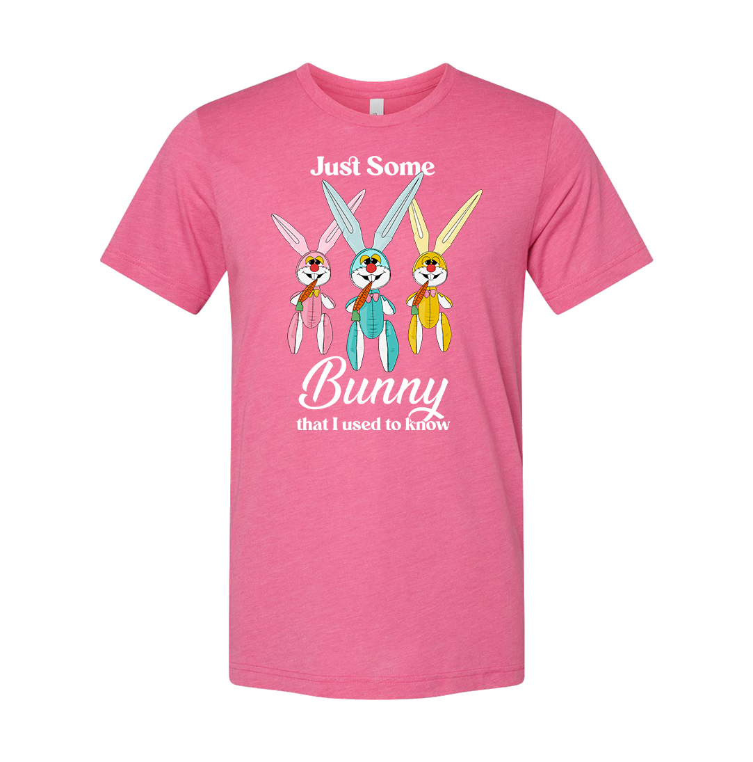 Just Some Bunny I Used to Know Dressing Festive pink T-shirt